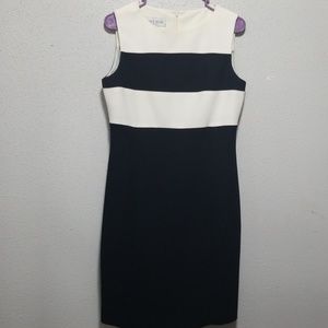 Jones  wares dress  size  8